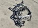Sold 2021 Honda Pilot Engine Harness Awd Touring Replacement Sold 2021 Honda Pilot Engine Harness Awd Touring Replacement thumbnail