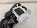2024 Acura Integra Passenger Belt Black Replacement 2024 Acura Integra Passenger Belt Black Replacement thumbnail