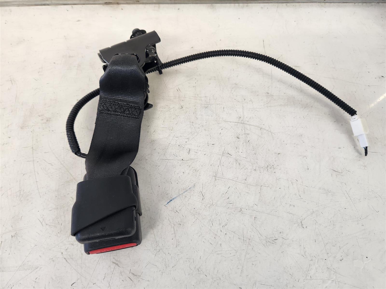 2025 Honda CR V Rear Left Buckle Hybrid Replacement 2025 Honda CR V Rear Left Buckle Hybrid Replacement thumbnail