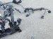 2025 Honda Accord Engine Harness 1.5l Replacement 2025 Honda Accord Engine Harness 1.5l Replacement thumbnail