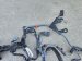 2025 Honda Accord Engine Harness 1.5l Replacement 2025 Honda Accord Engine Harness 1.5l Replacement thumbnail