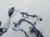 2025 Honda Accord Engine Harness 1.5l Replacement 2025 Honda Accord Engine Harness 1.5l Replacement thumbnail