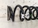 2024 Acura MDX Rear Driver Coil Spring Replacement 2024 Acura MDX Rear Driver Coil Spring Replacement thumbnail