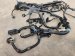 2025 Honda Civic Engine Harness 2.0l A/t Non Hybrid Replacement 2025 Honda Civic Engine Harness 2.0l A/t Non Hybrid Replacement thumbnail