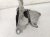 2025 Honda Civic Top Left Tranny Mount 2.0l No Hybrid Replacement 2025 Honda Civic Top Left Tranny Mount 2.0l No Hybrid Replacement thumbnail