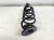 2024 Honda Civic Rear Coil Spring Type R Replacement 2024 Honda Civic Rear Coil Spring Type R Replacement thumbnail