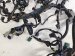 2024 Honda Civic Engine Harness Type R Replacement 2024 Honda Civic Engine Harness Type R Replacement thumbnail