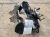 2024 Acura Integra Driver Spindle Knuckle Replacement 2024 Acura Integra Driver Spindle Knuckle Replacement thumbnail