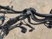 2024 Honda Civic Engine Harness Type R Replacement 2024 Honda Civic Engine Harness Type R Replacement thumbnail