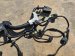 2024 Honda Civic Engine Harness Type R Replacement 2024 Honda Civic Engine Harness Type R Replacement thumbnail