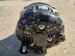 2024 Acura Integra Alternator 2.0l Replacement 2024 Acura Integra Alternator 2.0l Replacement thumbnail