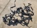 2024 Acura Integra Engine Harness Type S Replacement 2024 Acura Integra Engine Harness Type S Replacement thumbnail