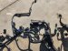 2024 Acura Integra Engine Harness Type S Replacement 2024 Acura Integra Engine Harness Type S Replacement thumbnail