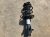 2024 Acura Integra Front Driver Strut Type S Replacement 2024 Acura Integra Front Driver Strut Type S Replacement thumbnail