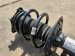 2024 Acura Integra Front Driver Strut Type S Replacement 2024 Acura Integra Front Driver Strut Type S Replacement thumbnail
