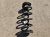 2024 Acura Integra Rear Coil Spring Type S Replacement 2024 Acura Integra Rear Coil Spring Type S Replacement thumbnail
