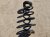 2024 Acura Integra Rear Coil Spring Type S Replacement 2024 Acura Integra Rear Coil Spring Type S Replacement thumbnail