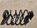 2024 Acura Integra Rear Coil Spring Type S Replacement 2024 Acura Integra Rear Coil Spring Type S Replacement thumbnail