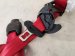 2024 Honda Civic Driver Belt Type R Red Replacement 2024 Honda Civic Driver Belt Type R Red Replacement thumbnail