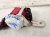 2024 Honda Civic Driver Belt Type R Red Replacement 2024 Honda Civic Driver Belt Type R Red Replacement thumbnail