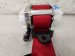 2024 Honda Civic Driver Belt Type R Red Replacement 2024 Honda Civic Driver Belt Type R Red Replacement thumbnail