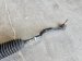 2025 Acura MDX Rack Pinion Replacement 2025 Acura MDX Rack Pinion Replacement thumbnail