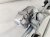 2026 Honda Passport Wiper Motor Replacement 2026 Honda Passport Wiper Motor Replacement thumbnail