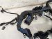 2025 Honda Accord Hybrid Sport Accord Engine Harness Replacement 2025 Honda Accord Hybrid Sport Accord Engine Harness Replacement thumbnail