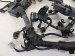 2025 Honda Accord Hybrid Sport Accord Engine Harness Replacement 2025 Honda Accord Hybrid Sport Accord Engine Harness Replacement thumbnail