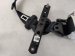2024 Acura Integra Passenger Belt Black Replacement 2024 Acura Integra Passenger Belt Black Replacement thumbnail