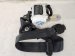 2025 Acura Integra Passenger Belt Black Replacement 2025 Acura Integra Passenger Belt Black Replacement thumbnail