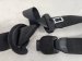 2025 Acura Integra Passenger Belt Black Replacement 2025 Acura Integra Passenger Belt Black Replacement thumbnail