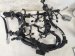 2024 Acura Integra Engine Harness Aspec 1.5l Replacement 2024 Acura Integra Engine Harness Aspec 1.5l Replacement thumbnail
