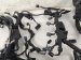 2024 Acura Integra Engine Harness Aspec 1.5l Replacement 2024 Acura Integra Engine Harness Aspec 1.5l Replacement thumbnail