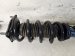 2023 Acura TLX Front Driver Strut Type S Replacement 2023 Acura TLX Front Driver Strut Type S Replacement thumbnail