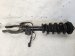 2023 Acura TLX Front Driver Strut Type S Replacement 2023 Acura TLX Front Driver Strut Type S Replacement thumbnail