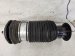 2025 Acura MDX Rear Passenger Air Spring Type S Replacement 2025 Acura MDX Rear Passenger Air Spring Type S Replacement thumbnail