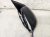 2026 Honda Passport Passenger Mirror Black Rtl Replacement 2026 Honda Passport Passenger Mirror Black Rtl Replacement thumbnail