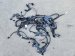 2025 Honda Civic Engine Harness 1.5l Si Replacement 2025 Honda Civic Engine Harness 1.5l Si Replacement thumbnail