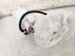 2025 Honda Civic Fuel Pump Replacement 2025 Honda Civic Fuel Pump Replacement thumbnail